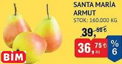 SANTA MARİA ARMUT KG
